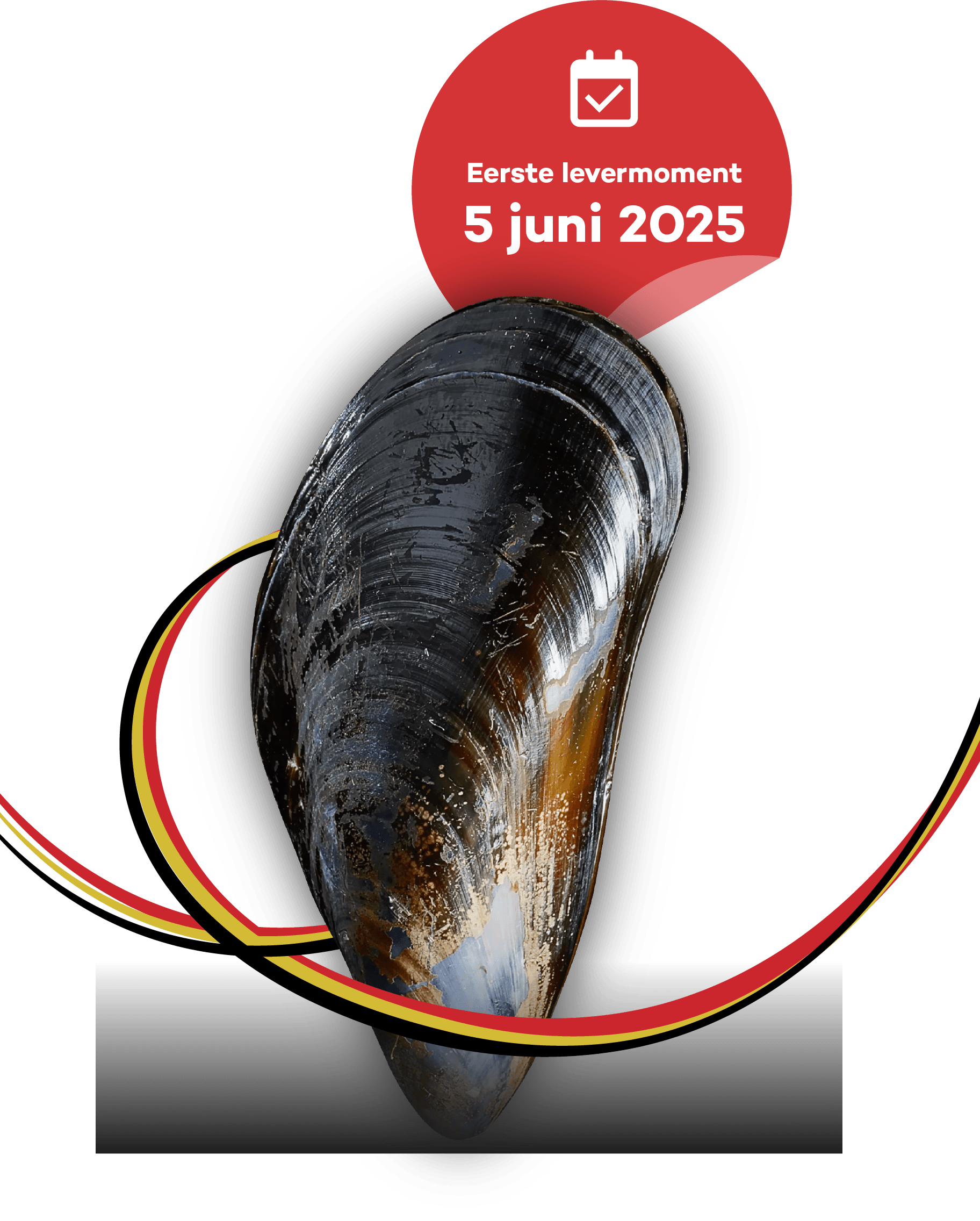 mossel